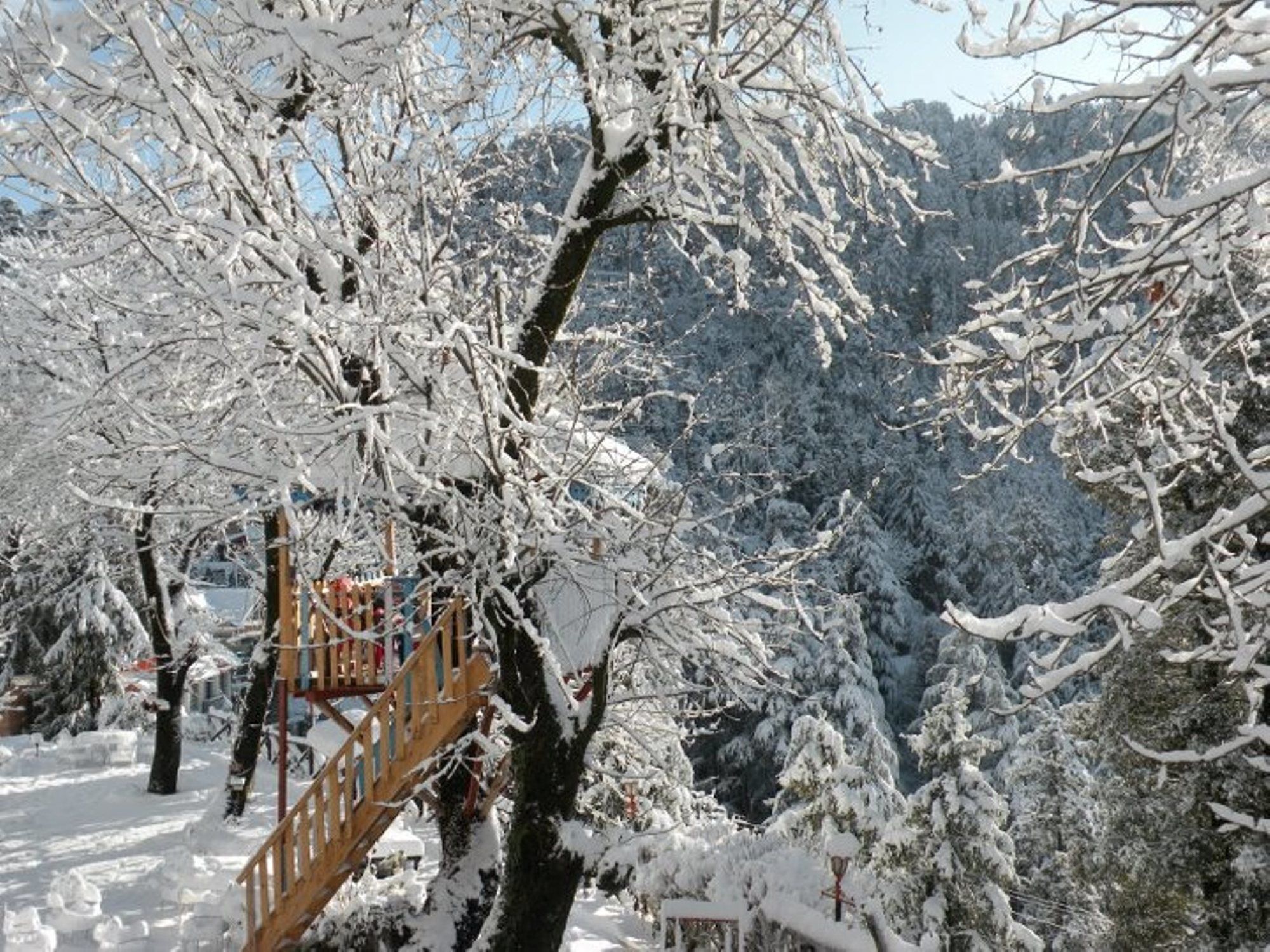 Alps Resort Далхаузи Экстерьер фото